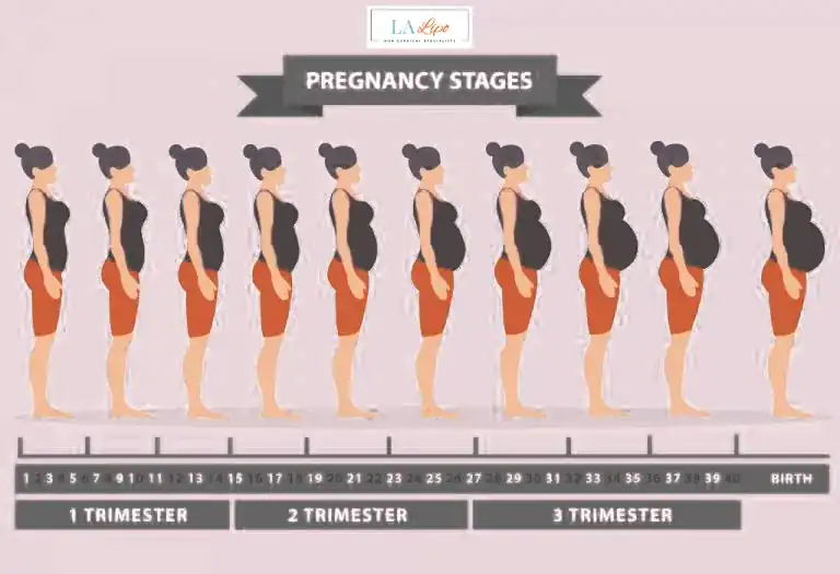 First Trimester (Weeks 1–12): Early Changes You Might Not Notice Ruislip